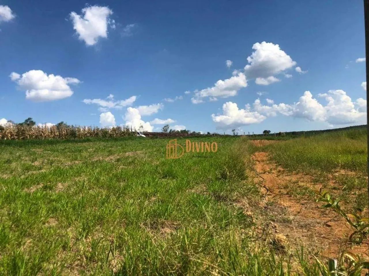 Terreno à venda, 1300 m² por R$ 140.000 - Sarapui - Araçoiaba da Serra/SP - Foto 5