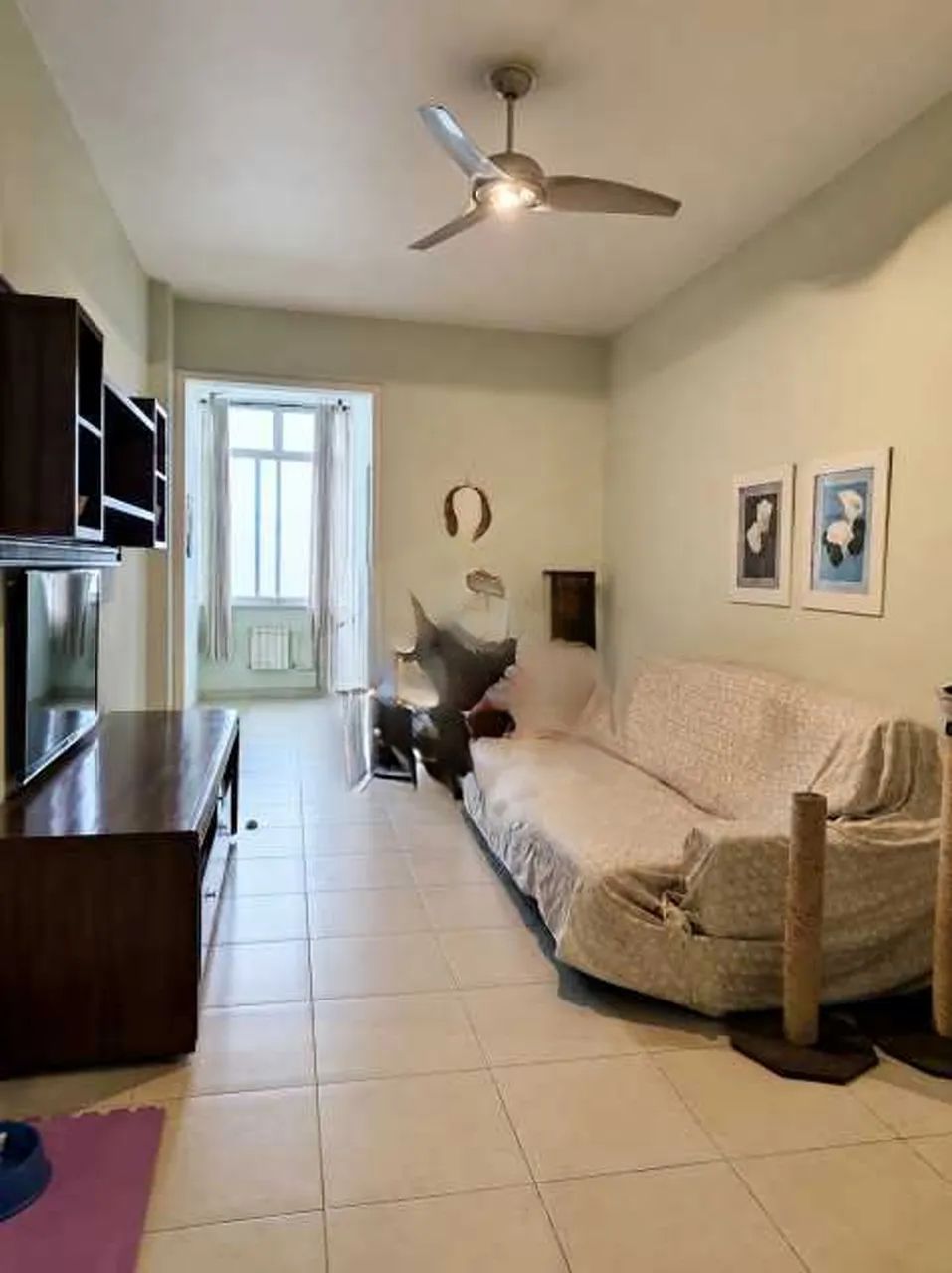 Apartamento : Padrão / Residencial / Catete - Foto 5