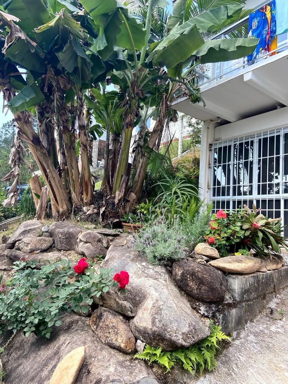 Casa à Venda na Praia de Fora - Palhoça/SC - Foto 3