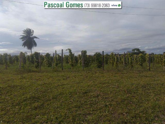 95 % Plana, Prado, Bahia - Foto 13