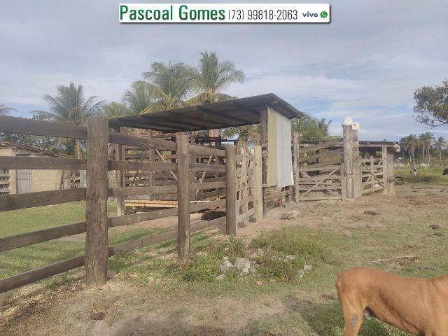 95 % Plana, Prado, Bahia - Foto 2