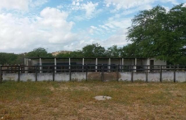 Fazenda Fernando Pedrosa, 489 Hectares, Escriturada, 7km Rio Pajeú, Açude, Casa Sede - Foto 13