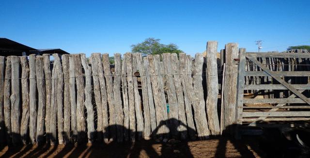 Fazenda Fernando Pedrosa, 489 Hectares, Escriturada, 7km Rio Pajeú, Açude, Casa Sede - Foto 20