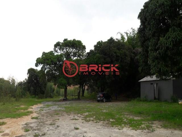 Terreno com 40.000m² e com 5.000 pés de eucalipto em papucaia - Foto 8