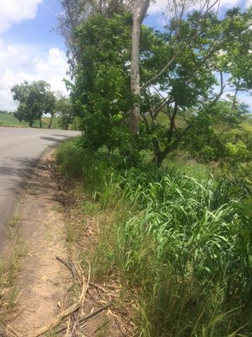 Fazenda-Granja-Sítio-Chácara 12 Hectares Aliança, Aceito Imóvel ou Automóvel - Foto 19