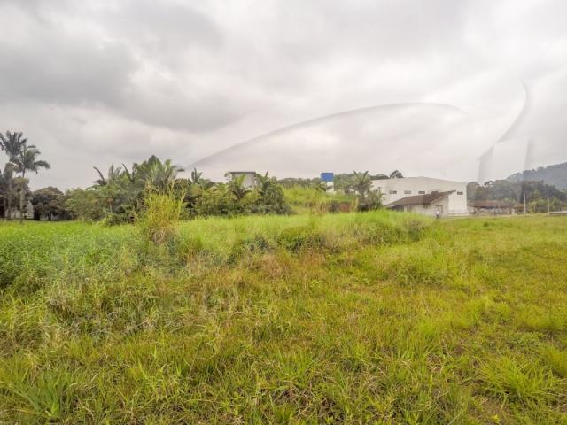 Terreno com aproximadamente 2.500 m², no bairro badenfurt . - Foto 8