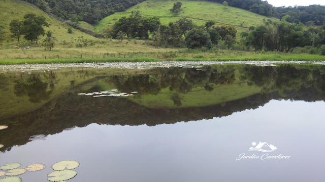 Jordão corretores - Fazendinha leiteira Cachoeiras de Macacu - Foto 2