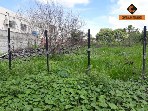 Terreno à venda em Cascalheira, Camaçari cod:TE00218 - Foto 5