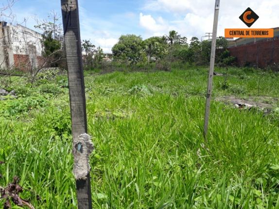 Terreno à venda em Cascalheira, Camaçari cod:TE00218 - Foto 3