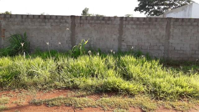 8082 | Terreno à venda em RECANTO PIRACEMA DO PARANAPANEMA, JARDIM OLINDA - Foto 2