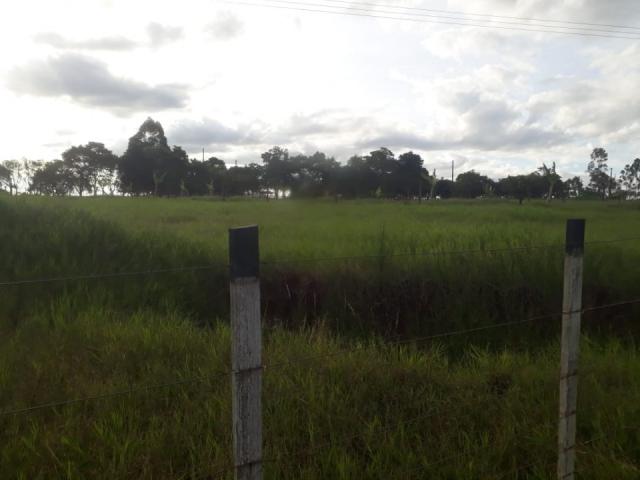 8062 | Chácara à venda em Chácara Marrom, Astorga - Foto 7