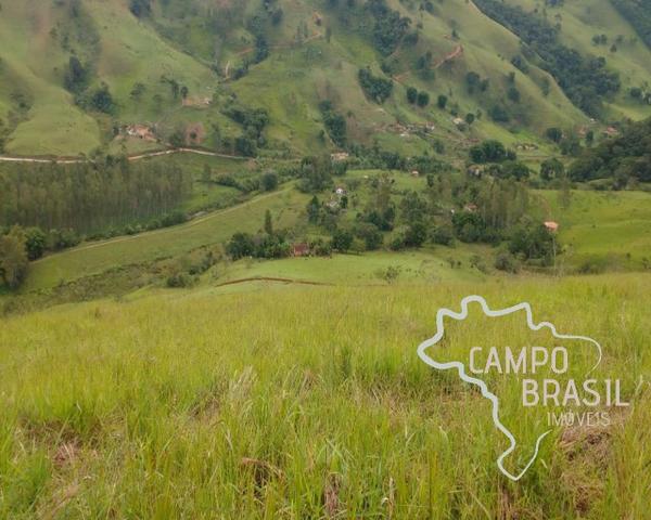 Oportunidade rural! Sítio de 8,5 alqueires todo aproveitável! - Foto 11