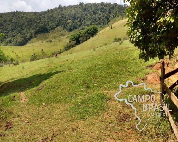 Oportunidade rural! Sítio de 8,5 alqueires todo aproveitável! - Foto 18