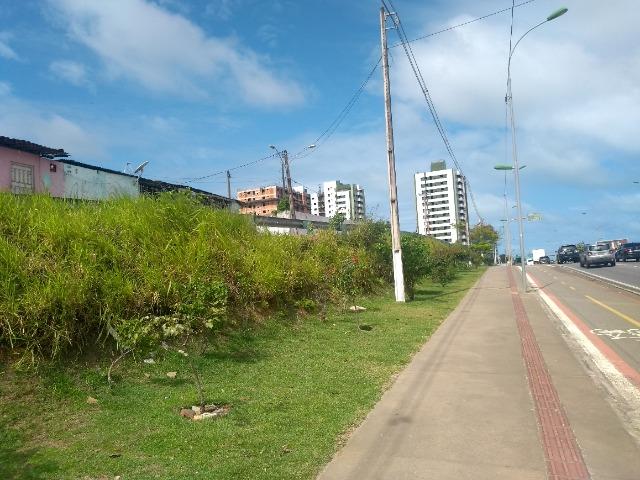 D206 Terreno na Avenida Marcio Canuto /Barro duro - Foto 14