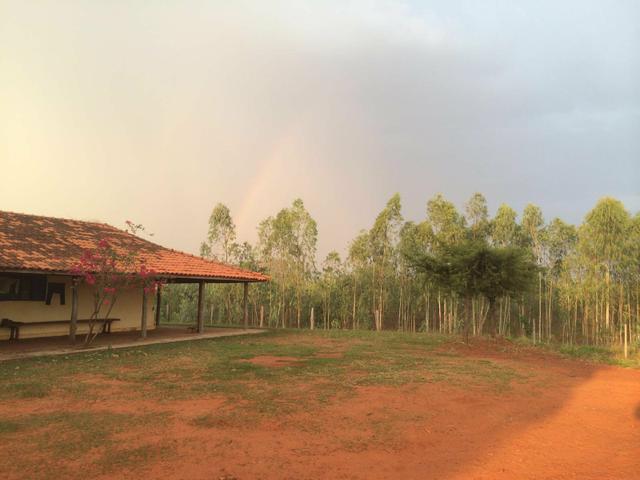 Fazenda de 1.200 há em Juscimeira - MT