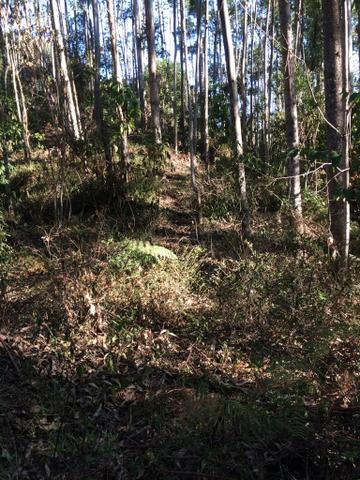 Lindo TERRENO para sítio - Foto 7