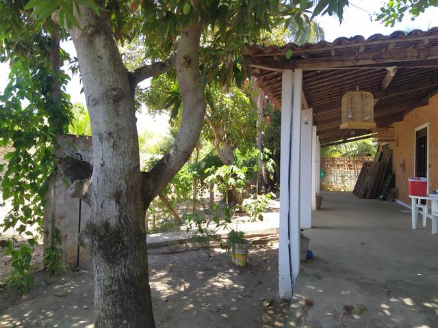 Temporada na ilha da crôa - Foto 5