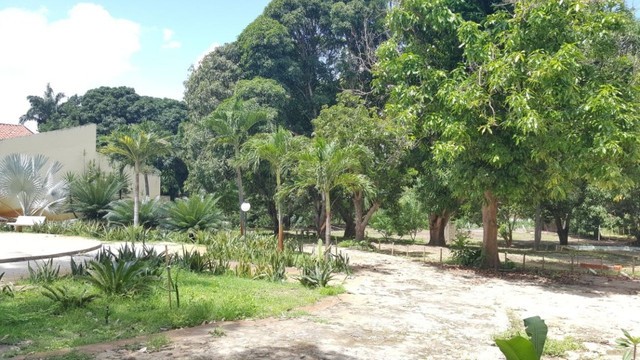 Chácara em Teresina-PI - Foto 5