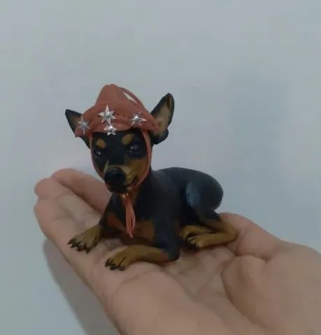 Pets ? em miniatura 