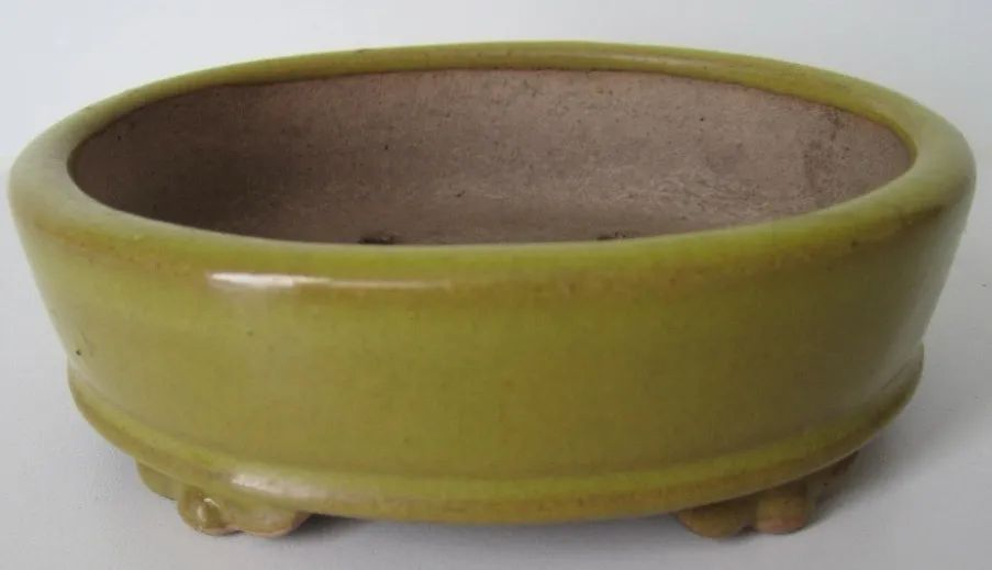 Vaso Bonsai  - Foto 3