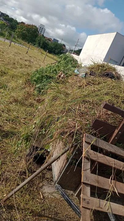 Serviços de limpeza e jardinagem  - Foto 4