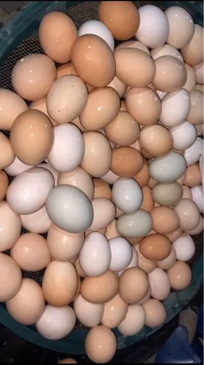 Ovos caipira  - Foto 2