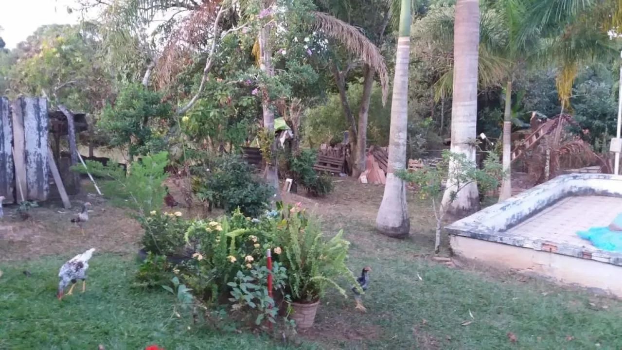 Venda - Chácara - Bairro dos Pires - Limeira - SP - Foto 3