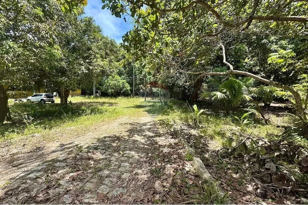 Paraíso Rural: Fazenda em Garça Torta à Venda!
