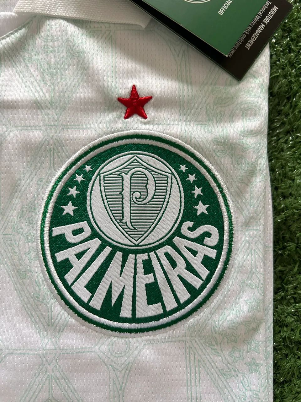 Palmeiras Reserva 2025 - Foto 5