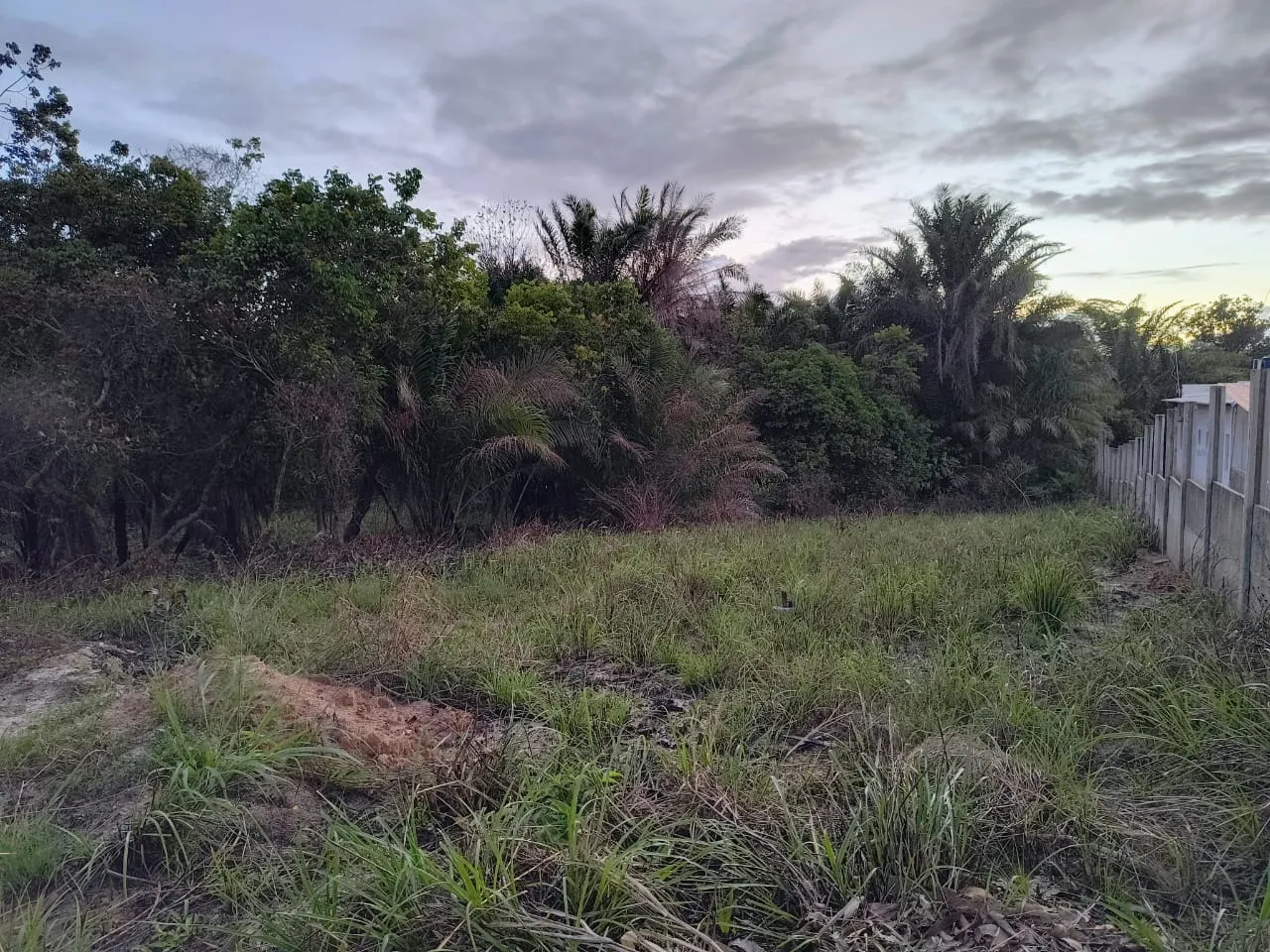 Lotes - Porto de Galinhas - Excelente Oportunidade!!