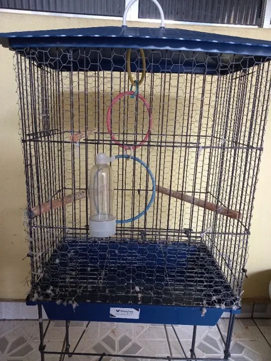 Viveiro pequeno!  - Foto 5