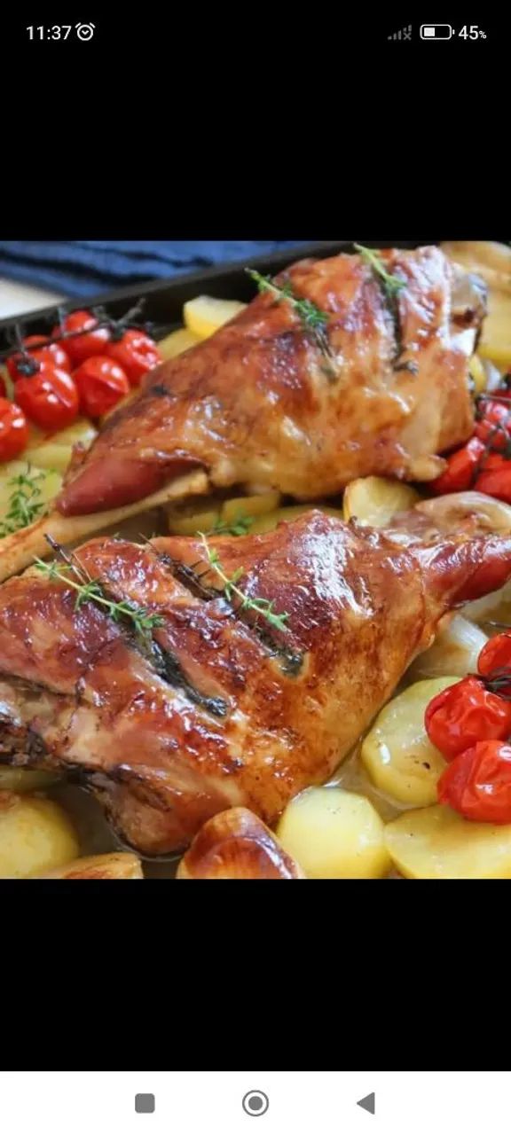 Procuro sócio investidor 