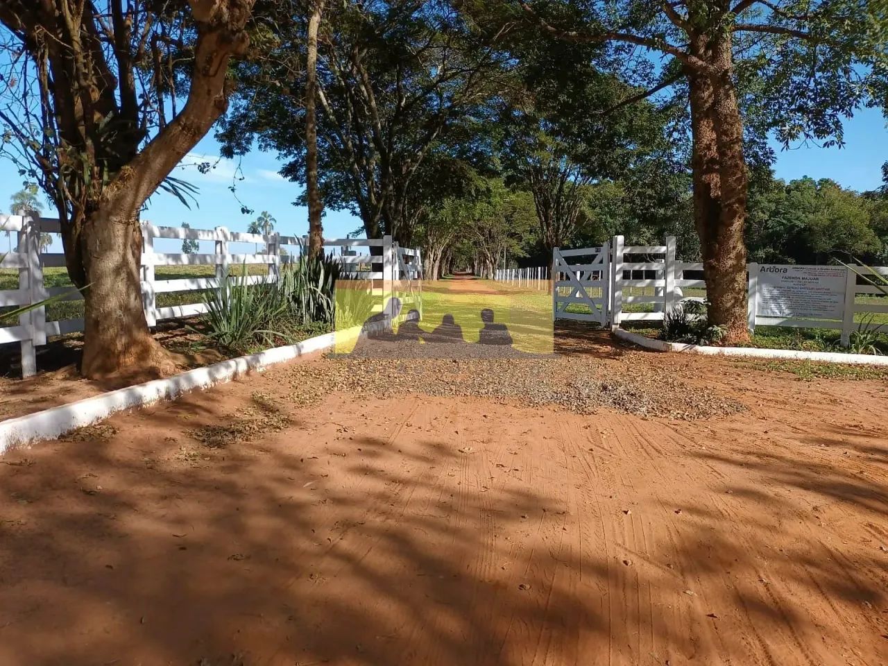 Fazenda em produção à venda, Avaré SP