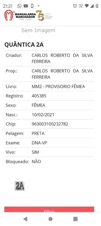 POTRA PRETA REGISTRADA  - Foto 2