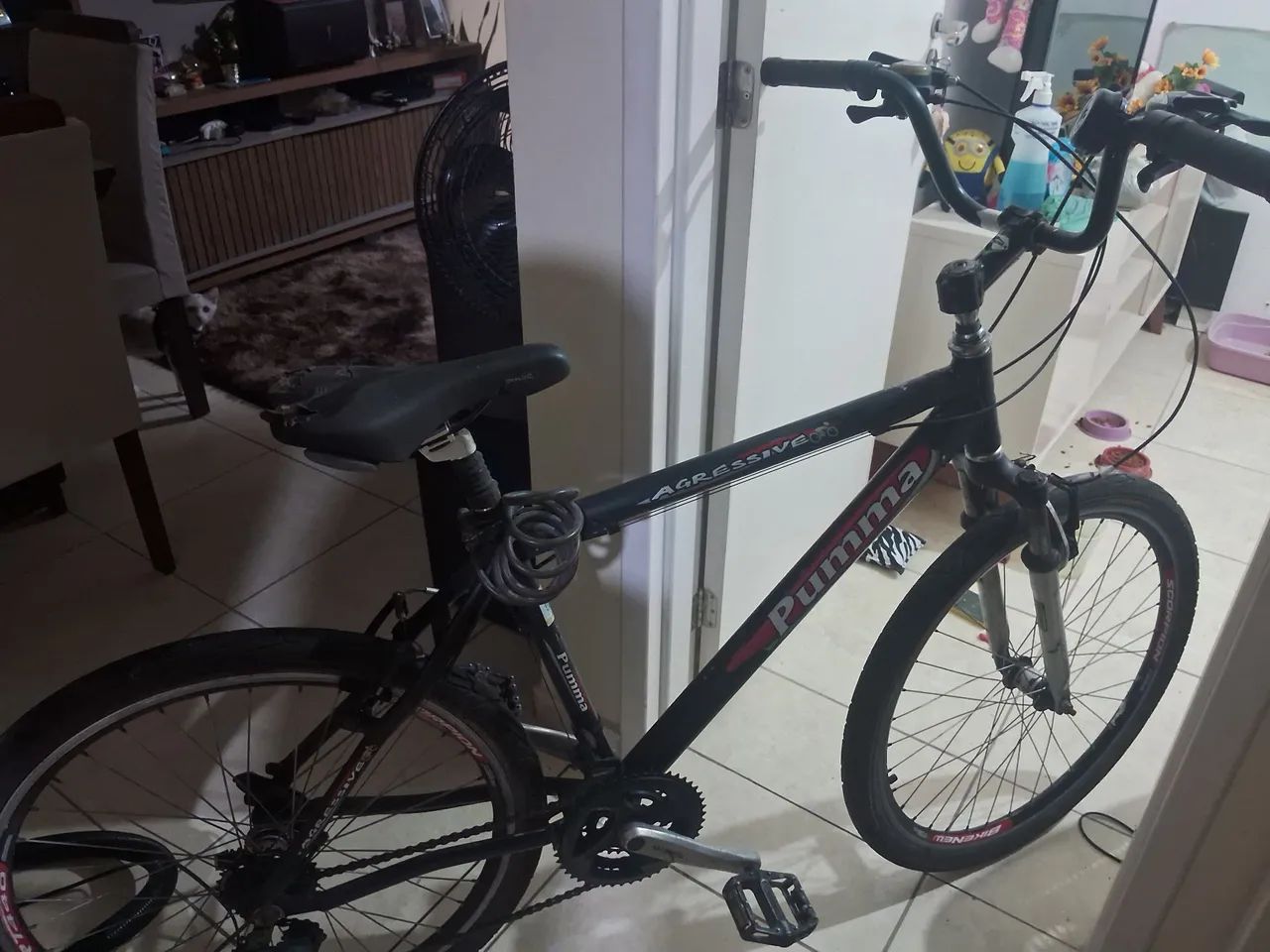 Bicicleta 21 manchas 