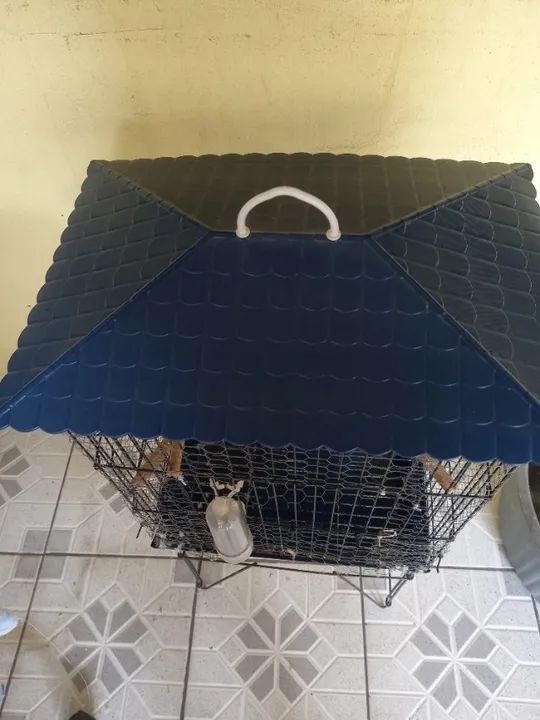 Viveiro pequeno!  - Foto 3