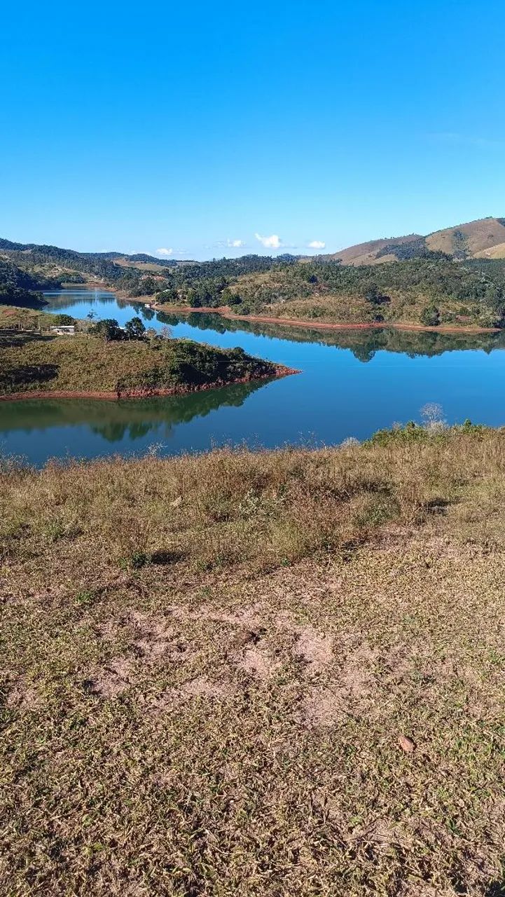 Foto - São José dos Campos - Bosque dos Eucaliptos