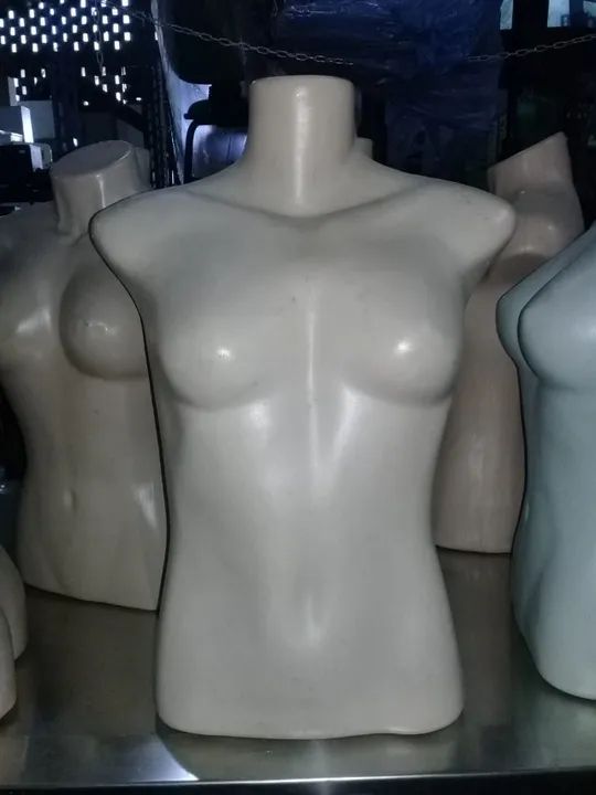 Busto Manequim Feminino
