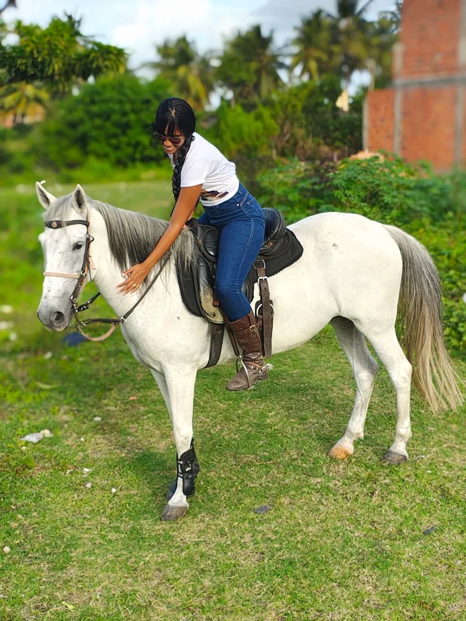 Égua de picado puro de MM com puro de QM - Foto 6