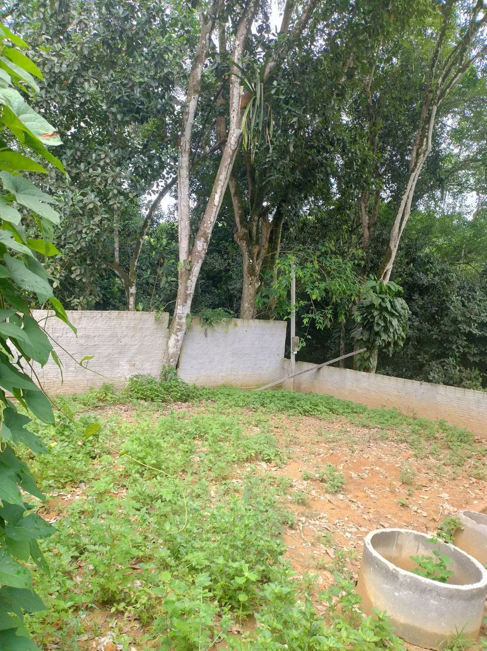 Terreno Aldeia