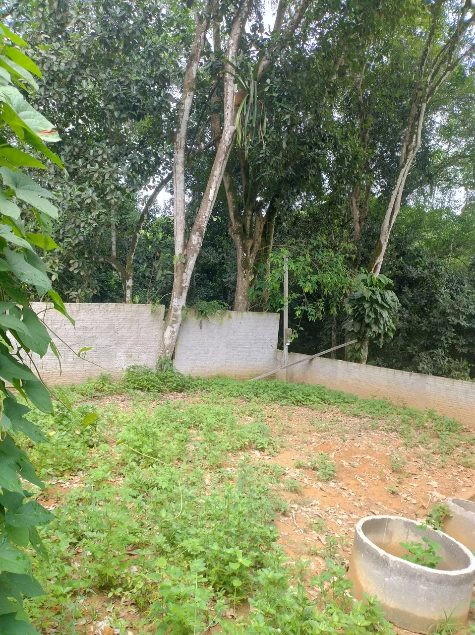 Terreno Aldeia