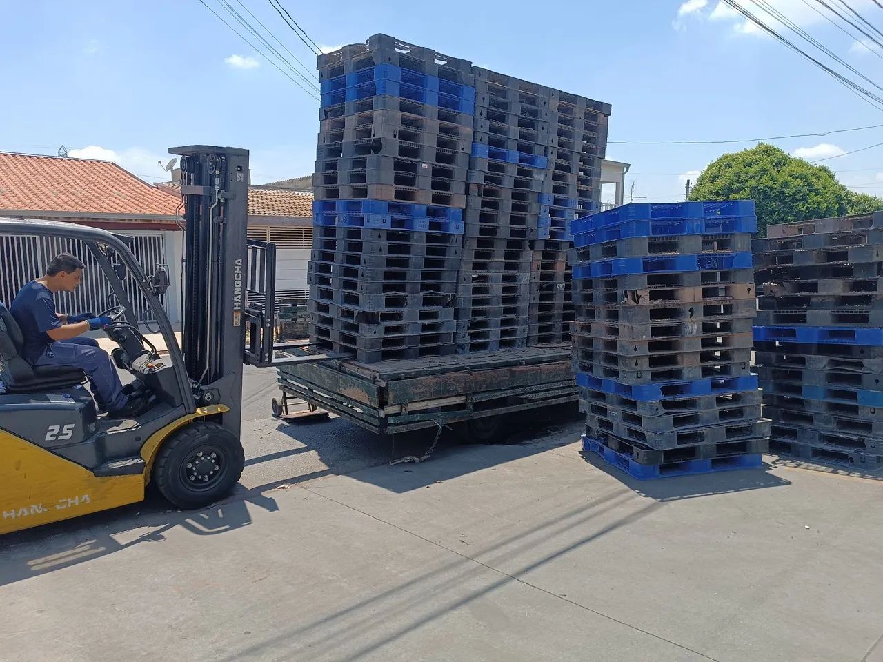 Pallet plástico 64840783549443120
