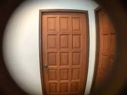 INSTALAÇÃO OLHO MÁGICO E OUTROS - Foto 2