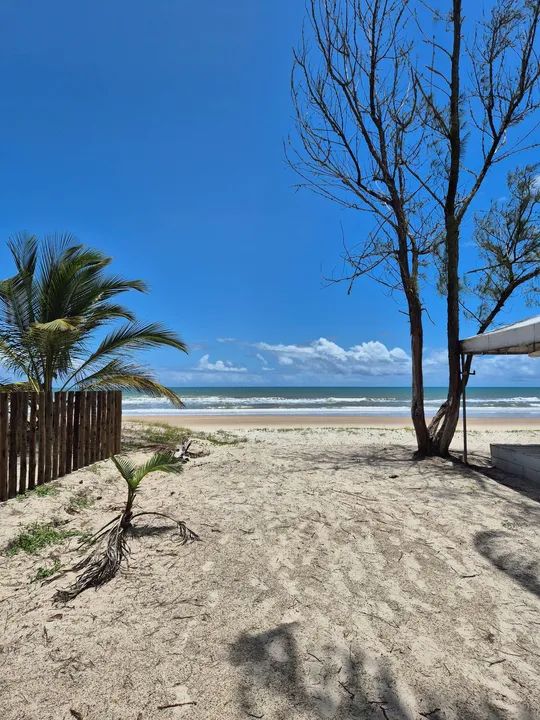 Casa de praia ilhéus-itacare  - Foto 3