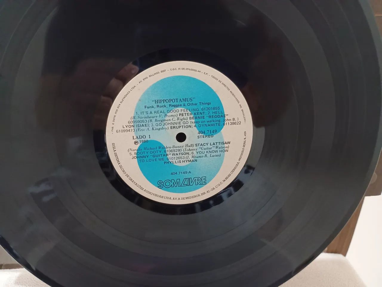 Disco de vinil hippopotamus  - Foto 4