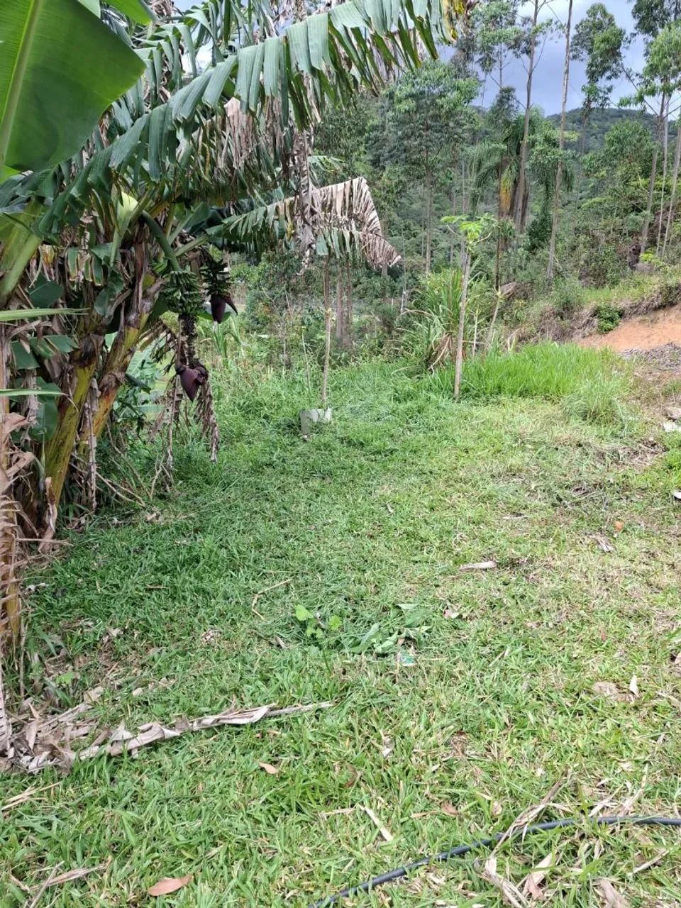 Vendo ou troco  - Foto 2