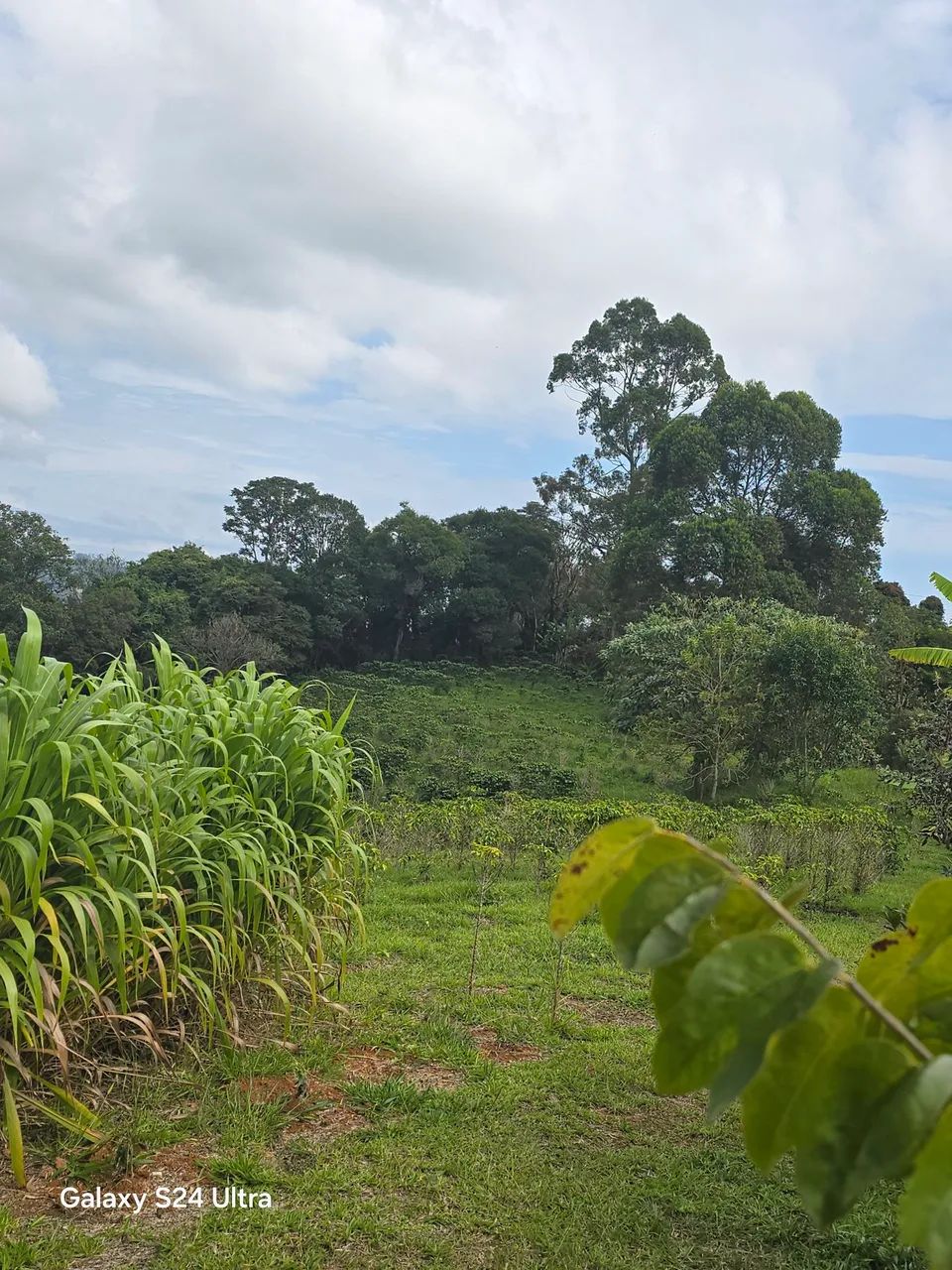 Terreno Baião  - Foto 2