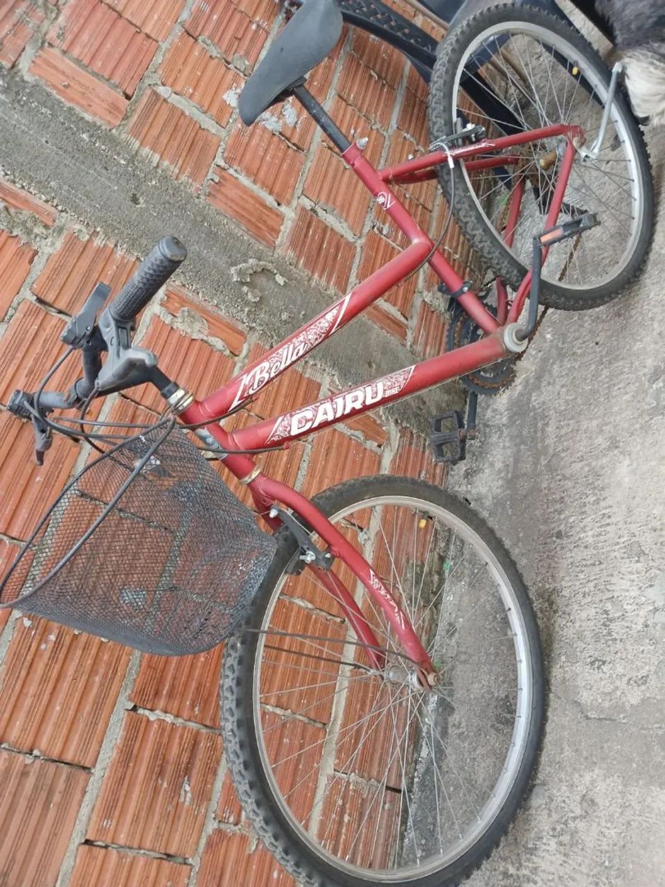 bicicleta 