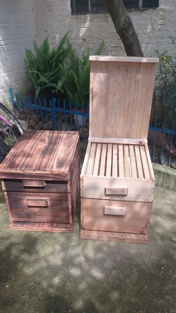 Caixa de abelha completa 