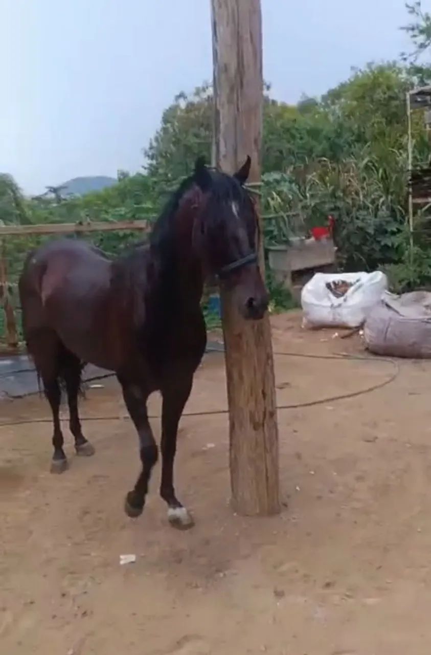 Vendo ou troco  - Foto 3